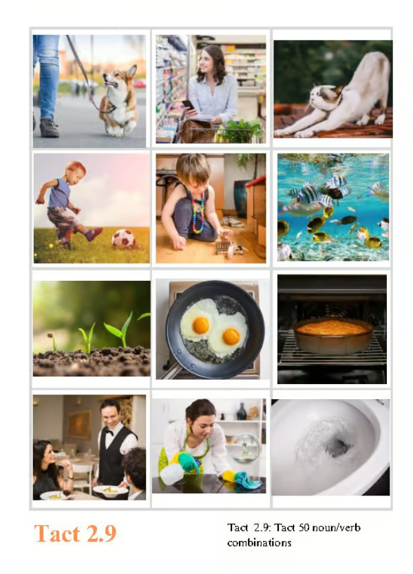 VB-Mapp Tact 2.9 Label 50 Noun and Verb Combinations