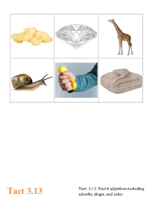 VBMAPP: Tact 3.11, Tact 3.12, Tact 3.13 Bundle