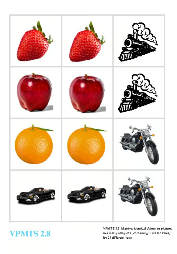 VB-MAPP VPMTS 2.8 Identical Matching: 25 Similar Items