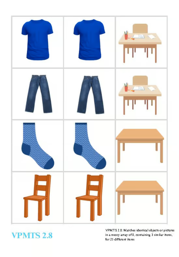 VB-MAPP VPMTS 2.8 Identical Matching: 25 Similar Items