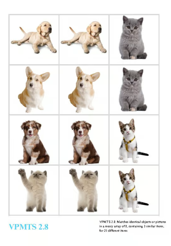 VB-MAPP VPMTS 2.8 Identical Matching: 25 Similar Items