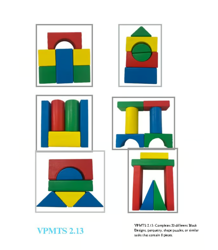 VB-MAPP VPMTS 3.13: Block Designs & Puzzles